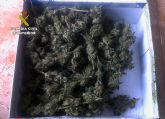 Ocho detenidos y dos imputados por cultivo de marihuana en la comarca del Bajo Guadalentn