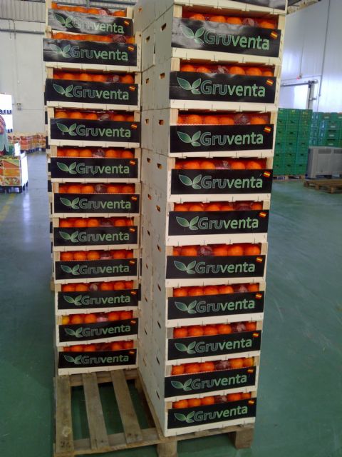 GRUVENTA resalta que los Cítricos Valencianos son un ejemplo a seguir en internacionalización agroalimentaria - 1, Foto 1