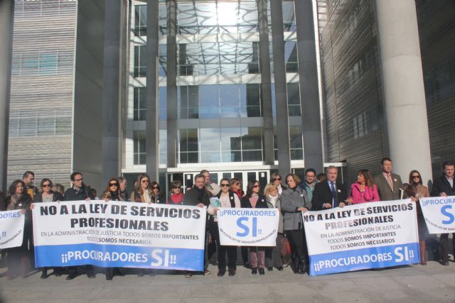 Los procuradores mantienen su oposición a la Ley de Servicios y Colegios Profesionales - 1, Foto 1