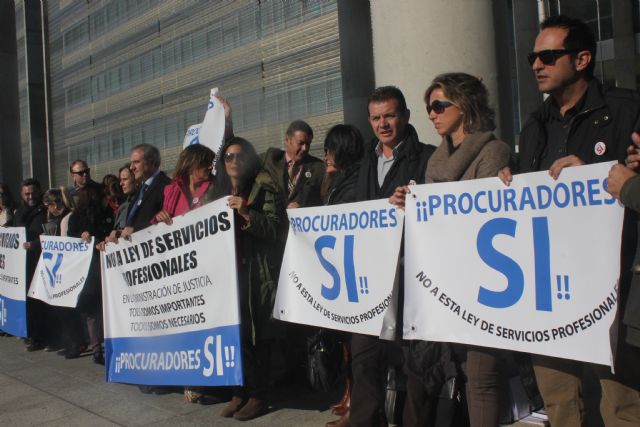 Los procuradores mantienen su oposición a la Ley de Servicios y Colegios Profesionales - 2, Foto 2