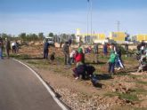 La Vaguada, más verde, con la ayuda de los vecinos