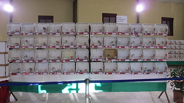 Los totaneros triunfan en Cuevas del Almanzora - 3