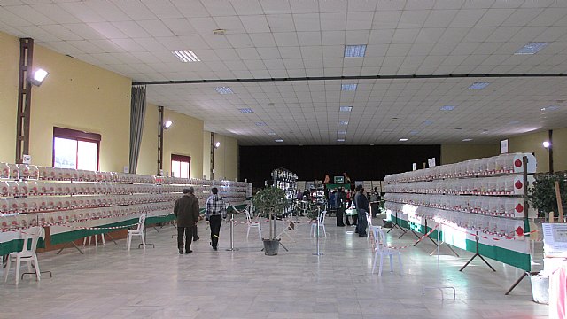 Los totaneros triunfan en Cuevas del Almanzora - 12