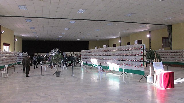 Los totaneros triunfan en Cuevas del Almanzora - 16