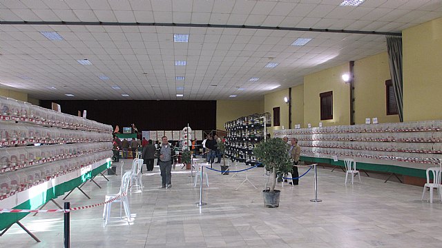 Los totaneros triunfan en Cuevas del Almanzora - 17