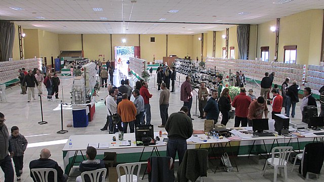 Los totaneros triunfan en Cuevas del Almanzora - 20