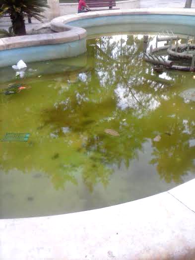 UPyD Alcantarilla denuncia el estado de abandono de parques y jardines del municipio - 3, Foto 3