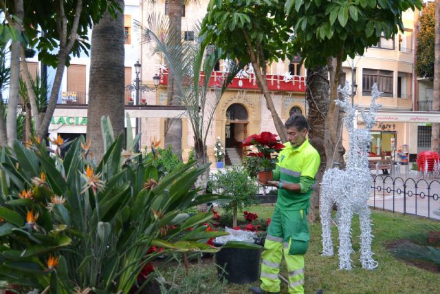 Los jardines de Águilas se engalanan con la típica Flor de Pascua - 1, Foto 1