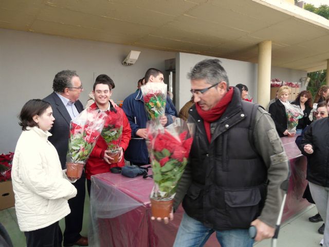El Ayuntamiento de Molina de Segura y la empresa de servicios Sercomosa reparten unas 4.000 macetas con flores de Pascua - 2, Foto 2
