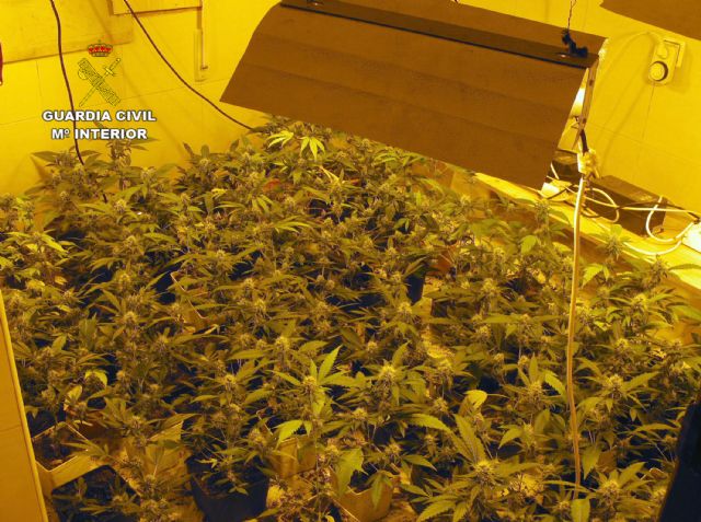 La Benemérita desmantela un invernadero clandestino de marihuana instalado en una vivienda usurpada - 2, Foto 2