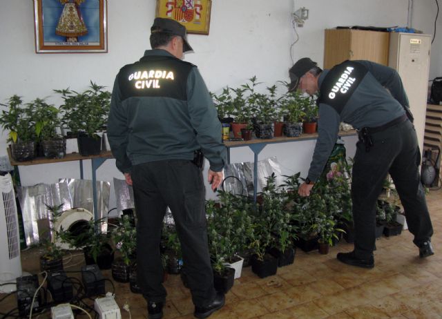 La Benemérita desmantela un invernadero clandestino de marihuana instalado en una vivienda usurpada - 4, Foto 4