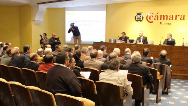 El Consejo del Agua de la Demarcación del Segura informa favorablemente el proyecto del Plan Hidrológico de la cuenca - 1, Foto 1