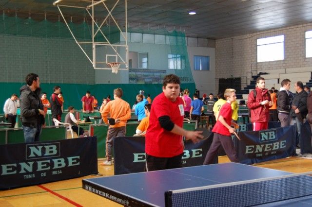 Los estudiantes alguaceños se clasifican para la final regional de Tenis de Mesa de Deporte en Edad Escolar - 1, Foto 1