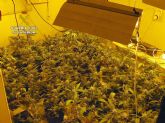 La Benemérita desmantela un invernadero clandestino de marihuana instalado en una vivienda usurpada