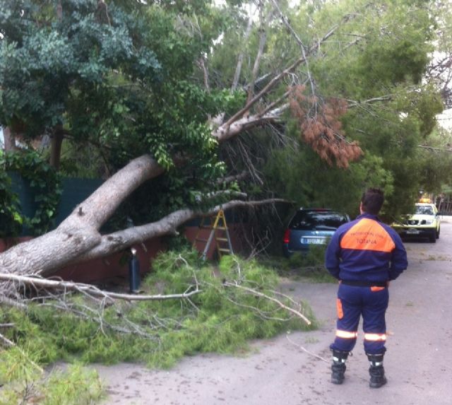 Protección Civil realiza varios servicios a consecuencia del temporal de lluvia y viento en el municipio, Foto 1