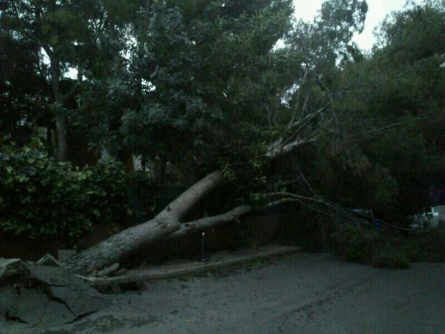 Protección Civil realiza varios servicios a consecuencia del temporal de lluvia y viento en el municipio, Foto 2
