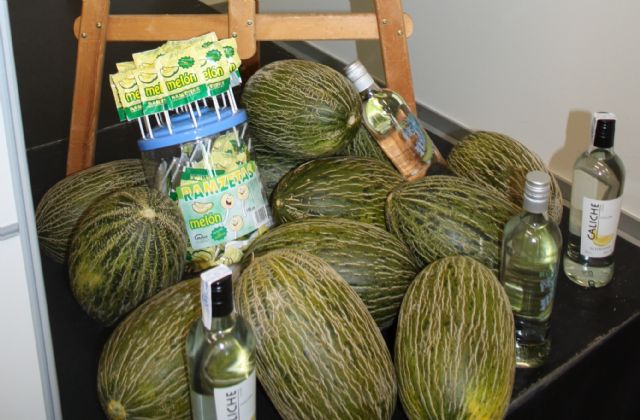 El melón de Torre-Pacheco continúa su andadura para conseguir el sello distintivo de calidad - 1, Foto 1