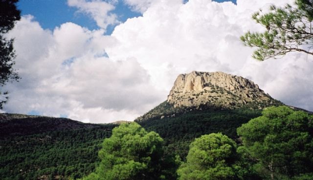 Once empresas de la Región contribuyen al desarrollo del turismo sostenible en el Parque de Sierra Espuña, Foto 1