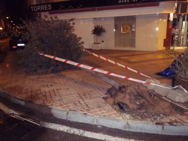 Los Bomberos realizaron una veintena de intervenciones por el temporal de viento - 1, Foto 1