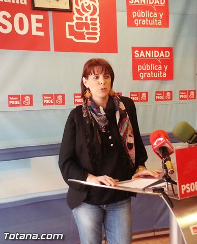 Valoración Pleno ordinario diciembre 2013 - PSOE, Foto 1
