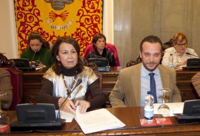 El Pleno aprueba definitivamente los tributos para 2014 - 2, Foto 2