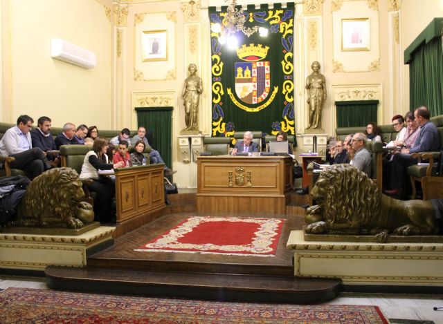 El último pleno del año aprueba el Plan de Igualdad de Oportunidades 2014 - 3, Foto 3