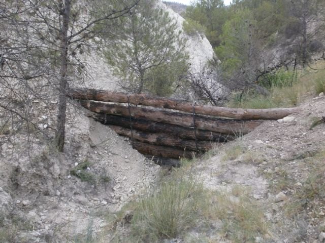 La Consejería de Presidencia continúa los trabajos de recuperación ambiental de la zona afectada por el incendio de Salmerón - 2, Foto 2