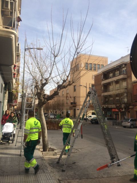 Se inician trabajos de poda en parte del arbolado urbano del municipio - 2, Foto 2