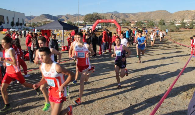 Más de 500 atletas participan en la XXVIII Liga Regional de Cross disputada en Puerto Lumbreras - 1, Foto 1