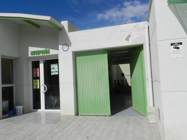 La APAP Jumilla organiza consultas gratuitas de educación canina - 3, Foto 3