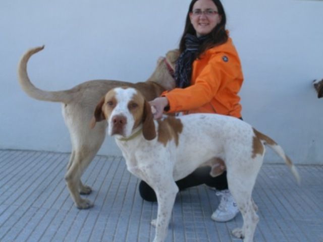 La APAP Jumilla organiza consultas gratuitas de educación canina - 4, Foto 4