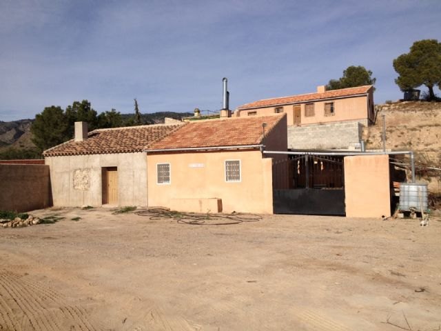 IU-Verdes denuncia que el asfaltado de un camino rural en la Murta no responde al interés general - 2, Foto 2