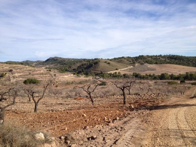 IU-Verdes denuncia que el asfaltado de un camino rural en la Murta no responde al interés general - 3, Foto 3