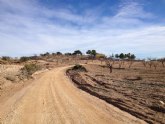 IU-Verdes denuncia que el asfaltado de un camino rural en la Murta no responde al interés general