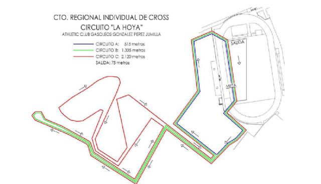 Este fin de semana, Jumilla acoge la IV Jornada del XXVIII Campeonato Regional de Cross - 2, Foto 2