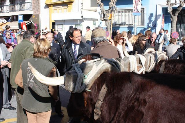 El Alcalde asiste un año más a la tradicional bendición de animales en San Antón 2014 - 2, Foto 2