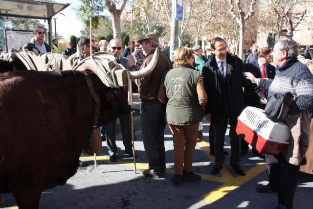 El Alcalde asiste un año más a la tradicional bendición de animales en San Antón 2014 - 4, Foto 4