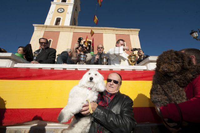 San Antón bendice a los animales en su día grande - 1, Foto 1