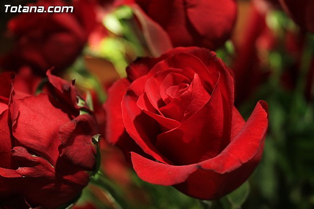 La cofrada del Stmo. Cristo de La Cada present la nueva ubicacin de sus imgenes titulares - 36