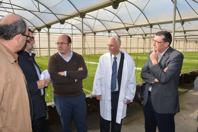 Pedro Antonio Sánchez analiza con Fecamur la generación de nuevos empleos en las cooperativas agroalimentarias - 2, Foto 2