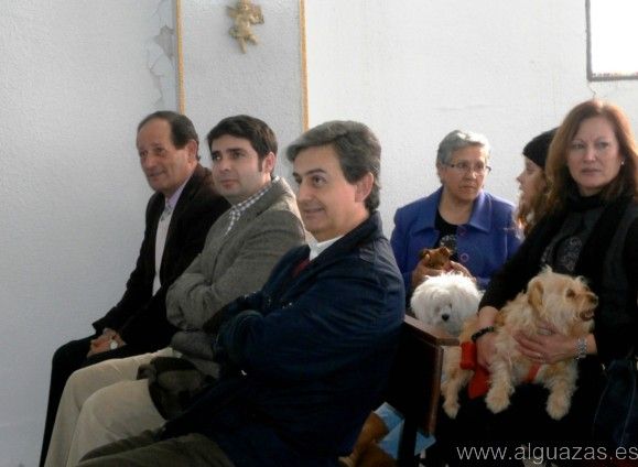 Las Pullas de Alguazas festeja a su Patrón San Antón con la tradicional bendición de mascotas y roscos de pan - 4, Foto 4