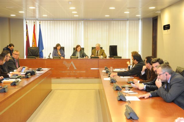 Laexperta estadounidense defiende en la Asamblea que la transparencia es siempre un paso adelante - 1, Foto 1