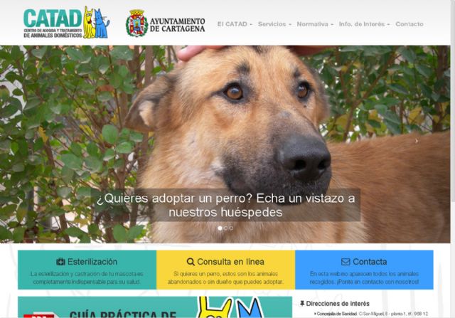 La web del CATAD se adapta a móviles y tabletas - 1, Foto 1