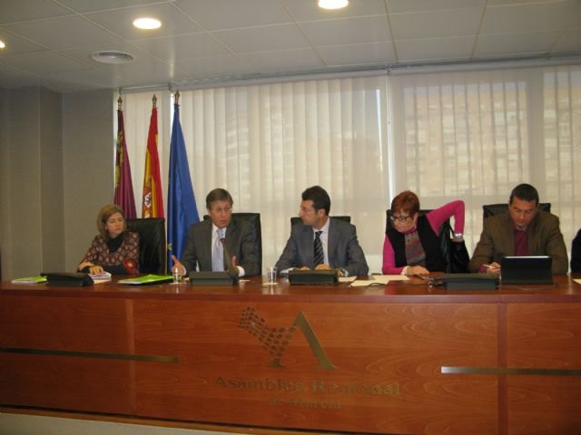 Bernal destaca que el actual modelo supondrá para la Región una infrafinanciación de unos 3.000 millones en el periodo 2009-2014 - 1, Foto 1