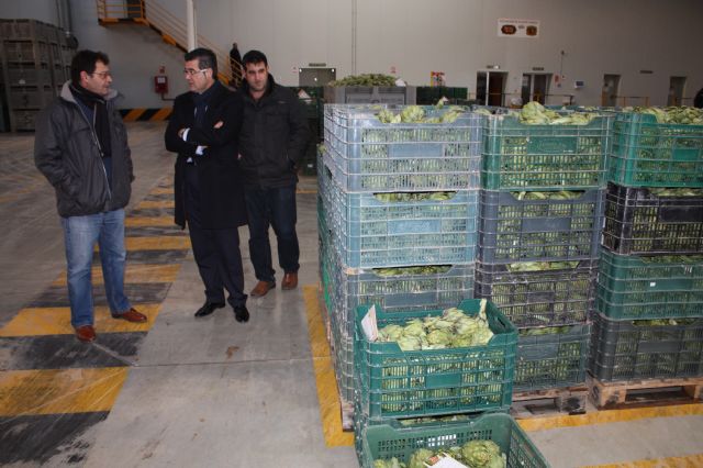 El alcalde de Torre-Pacheco visita las instalaciones de SUBASUR - 1, Foto 1