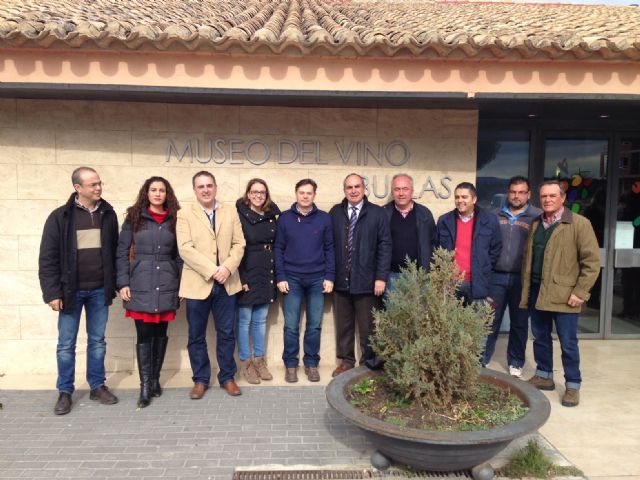 El sector vitivinícola regional recibirá 4,3 millones para la reestructuración y reconversión del viñedo - 1, Foto 1