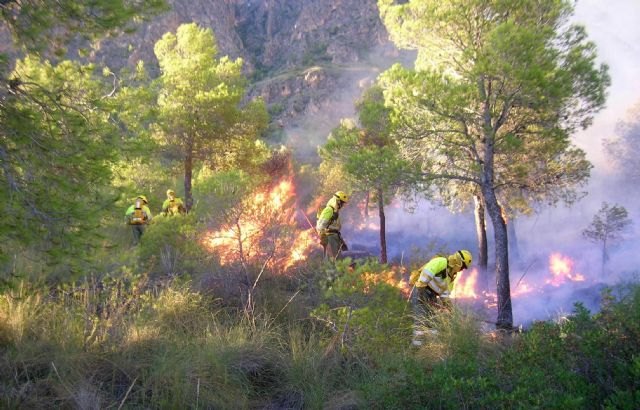 El Plan Infomur cierra 2013 con el segundo mejor año en incendios forestales de la Región - 1, Foto 1