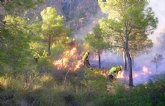 El Plan Infomur cierra 2013 con el segundo mejor año en incendios forestales de la Regin