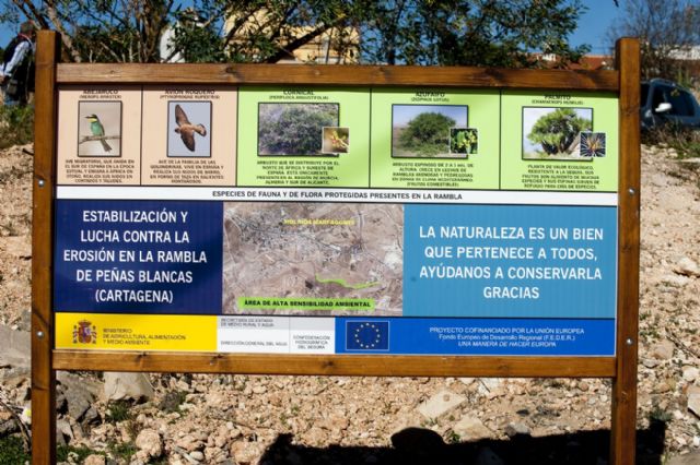 La CHS acondiciona una vía verde en la rambla en Molinos Marfagones - 3, Foto 3