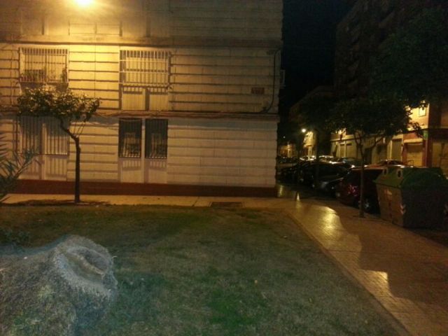 IU-Verdes denuncia la desigualdad de criterio a la hora de eliminar pintadas en edificios públicos y privados - 1, Foto 1